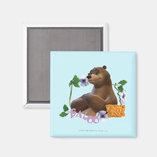 Baloo 2 magnet (Vorderseite/Rückseite)