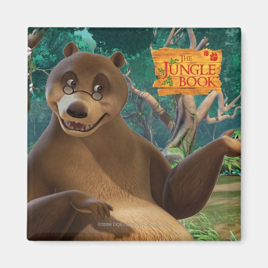 Baloo 4 magnet (Vorne)