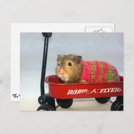 Baloo geht auf Wagenfahrt Postkarte (Vorne/Hinten)