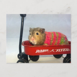 Baloo geht auf Wagenfahrt Postkarte