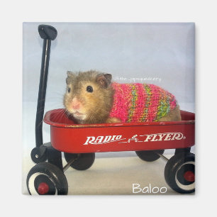Baloo in seinem roten Lastwagen Magnet