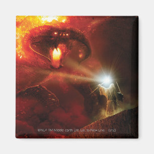 Balrog gegen GANDALF™ Magnet