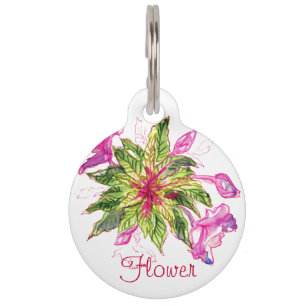 Balsam Bouquet Pink Blume Grüne Blätter Haustiermarke