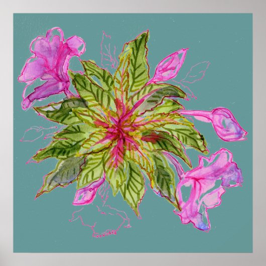 Balsam Bouquet Poster (Vorne)