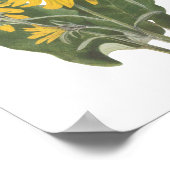 Balsam Root Wildblume Poster (Ecke)