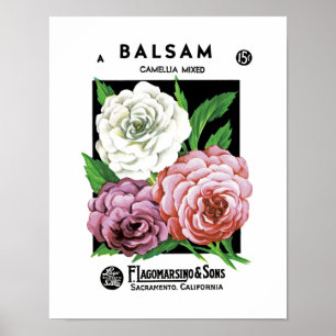 Balsam-Samen-Paket-Aufkleber Poster