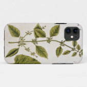 Balsam, überziehen 27 von "einem neugierigen Case-Mate iPhone hülle (Rückseite (Horizontal))