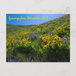 Balsamroot und Lupine in Sage Hills Wenatchee, WA Postkarte
