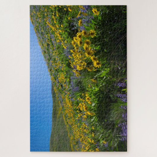 Balsamroot und Lupine in Sage Hills Wenatchee, WA Puzzle (Vertikal)