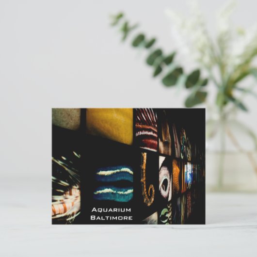 Baltimore Aquarium Postkarte (Stehend Vorderseite)