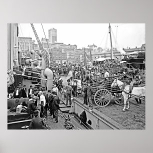 Baltimore Banana Boote Poster