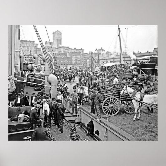 Baltimore Banana Boote Poster (Vorne)