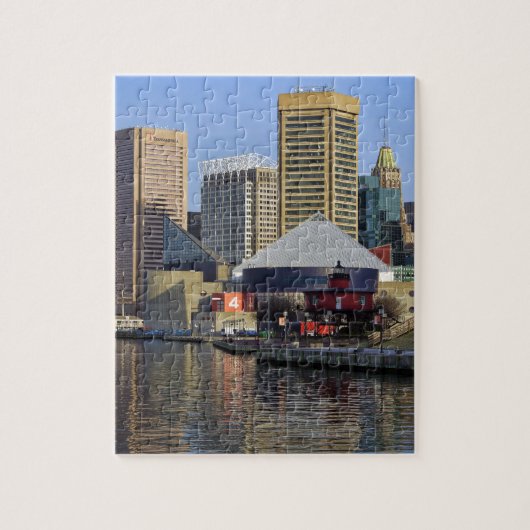 Baltimore Inner Harbour Puzzle (Vertikal)