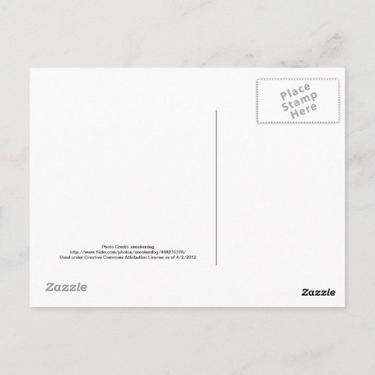 Baltimore MD Skyline mit Baltimore im Sky Postkarte (Rückseite)