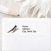 Baltimore Oriole (Insitu)