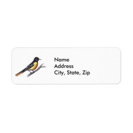Baltimore Oriole