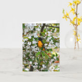 Baltimore Oriole #1 - Blank Note Card Karte (Gelbe Blume)