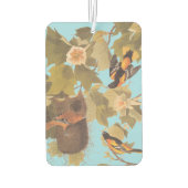 Baltimore Oriole Audubon Bird Familie mit Nest Autolufterfrischer (Rückseite)