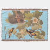 Baltimore Oriole Audubon Bird Familie mit Nest Decke (Vorderseite)