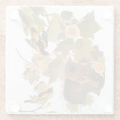 Baltimore Oriole Audubon Bird Familie mit Nest Glasuntersetzer (Rückseite)