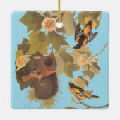 Baltimore Oriole Audubon Bird Familie mit Nest Keramikornament (Rückseite)
