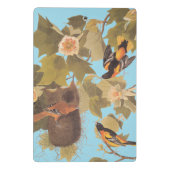 Baltimore Oriole Audubon Bird Familie mit Nest Mini Klemmbrett (Rückseite)