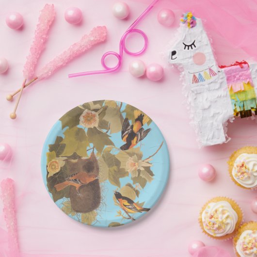 Baltimore Oriole Audubon Bird Familie mit Nest Pappteller (Party)