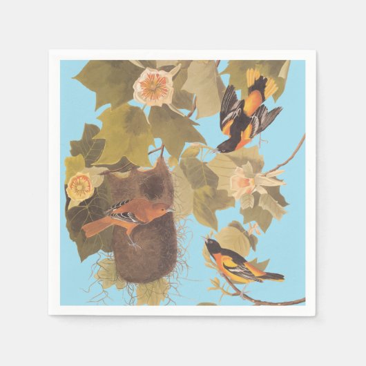 Baltimore Oriole Audubon Bird Familie mit Nest Serviette (Vorderseite)