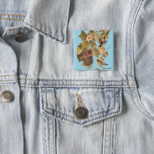 Baltimore Oriole Audubon Birds in Poplar Tree Button (Beispiel)