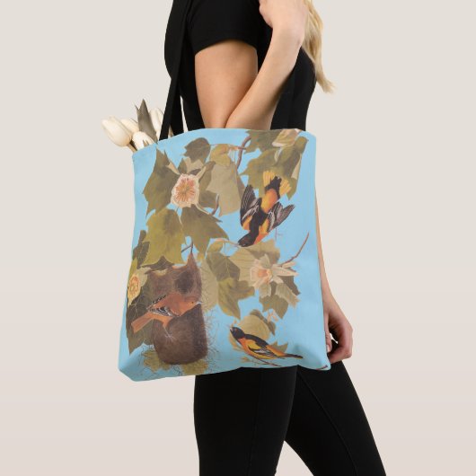 Baltimore Oriole Audubon Birds in Poplar Tree Tasche (Von Nahem)