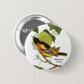 Baltimore Oriole, Audubon, Birdwatcher Zubehör, Button (Vorne & Hinten)