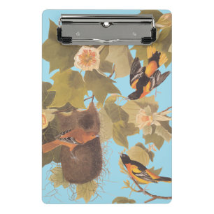 Baltimore Oriole Audubon-Vogelfamilie mit Nest Mini Klemmbrett