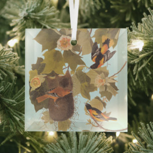 Baltimore Oriole Audubon-Vogelfamilie mit Nest Ornament Aus Glas