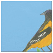 Baltimore Oriole Bird Blue Stoff (Nahaufnahme)