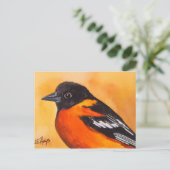 Baltimore Oriole Bird Postkarte (Stehend Vorderseite)