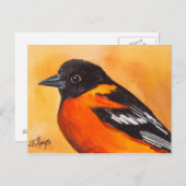 Baltimore Oriole Bird Postkarte (Vorne/Hinten)