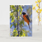 Baltimore Oriole Blank Note Card Karte (Gelbe Blume)