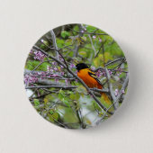 Baltimore Oriole Button (Vorderseite)
