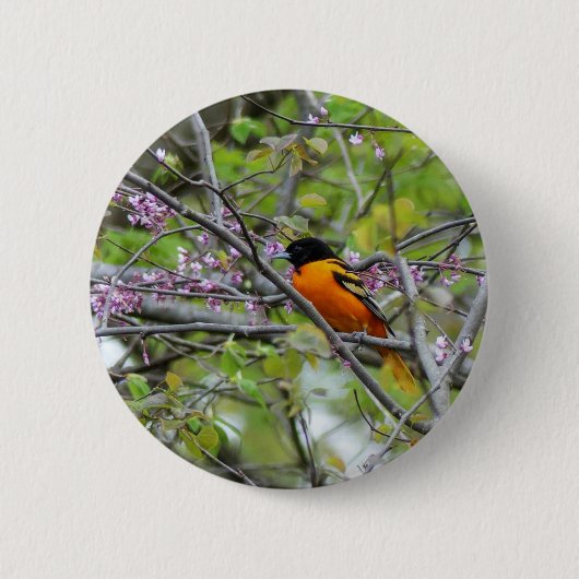 Baltimore Oriole Button (Vorderseite)