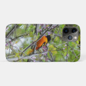 Baltimore Oriole Case-Mate iPhone Hülle (Rückseite (Horizontal))