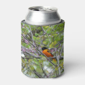 Baltimore Oriole Dosenkühler (Kanne Vorderseite)