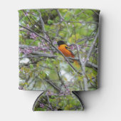 Baltimore Oriole Dosenkühler (Vorderseite)