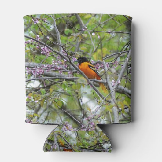 Baltimore Oriole Dosenkühler (Rückseite)