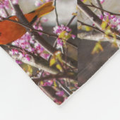 Baltimore Oriole Fleecedecke (Ecke)