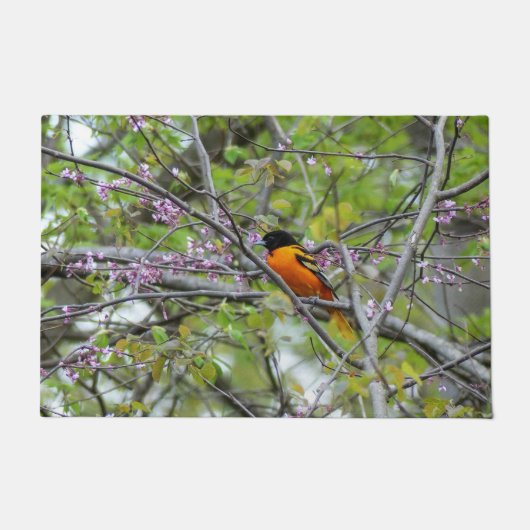 Baltimore Oriole Fußmatte (Vorderseite)