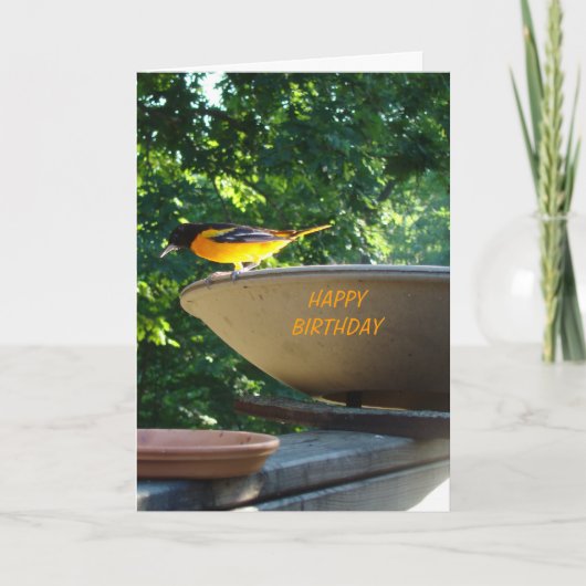 Baltimore Oriole, Geburtstag Karte (Vorderseite)