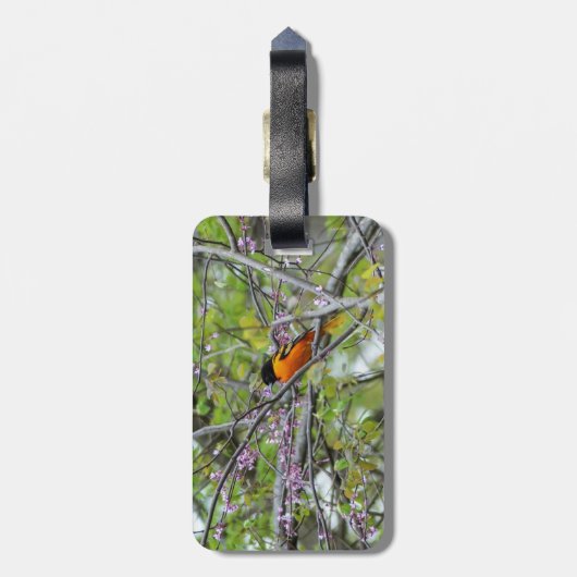 Baltimore Oriole Gepäckanhänger (Rückseite vertikal)