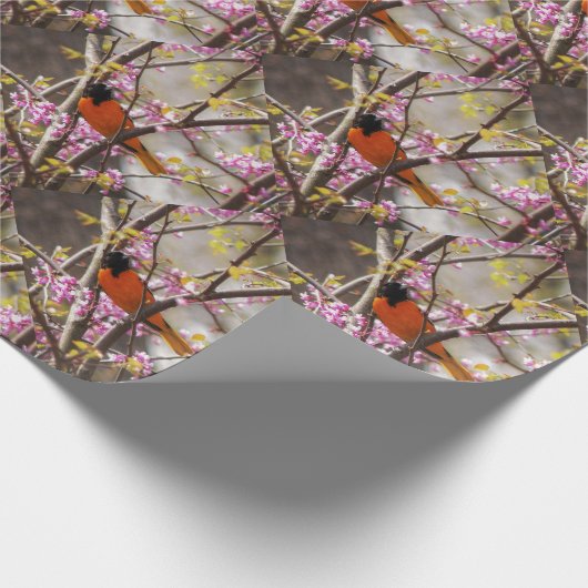 Baltimore Oriole Geschenkpapier (Ecke)