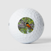 Baltimore Oriole Golfball (Vorderseite)