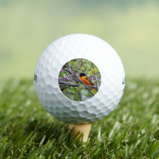 Baltimore Oriole Golfball (Insitu T-Shirt)